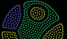 Coloruid 2